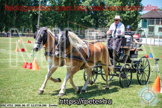 Mintakép 20260627-398