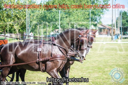Mintakép 20260612-232