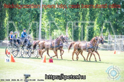 Mintakép 20260627-399