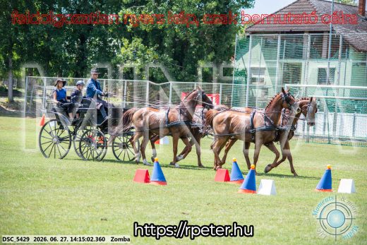 Mintakép 20260627-401