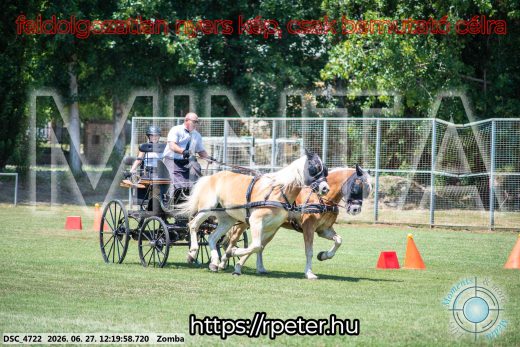 Mintakép 20260627-404