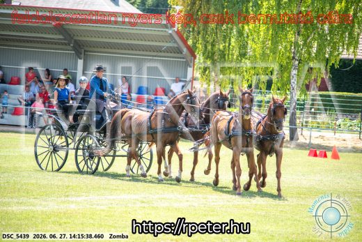Mintakép 20260627-409