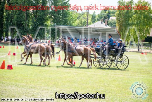 Mintakép 20260627-410