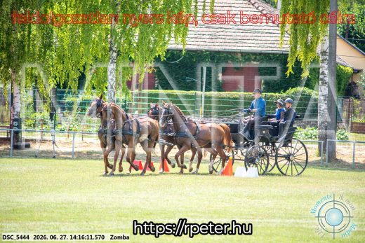 Mintakép 20260627-411