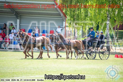 Mintakép 20260627-412