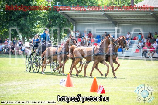 Mintakép 20260627-413