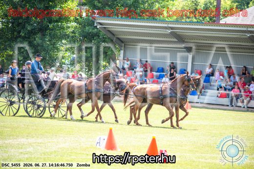 Mintakép 20260627-418