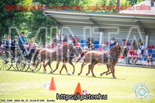 Mintakép 20260627-419