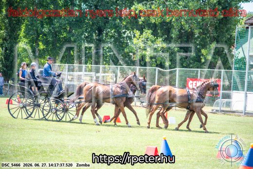 Mintakép 20260627-421