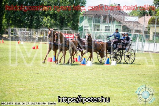 Mintakép 20260627-422
