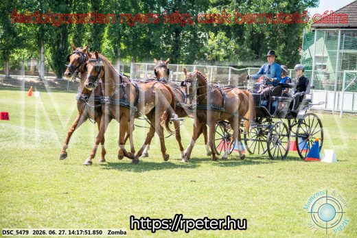 Mintakép 20260627-424