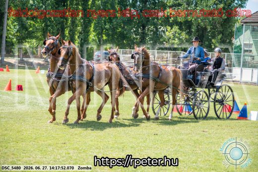 Mintakép 20260627-427