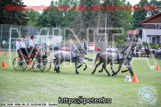 Mintakép 20260627-432