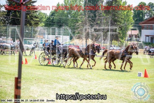 Mintakép 20260627-435