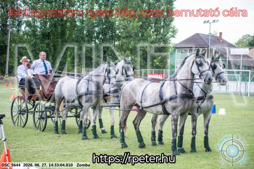 Mintakép 20260627-438