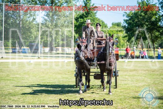 Mintakép 20260612-236