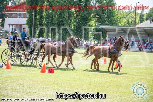 Mintakép 20260627-441