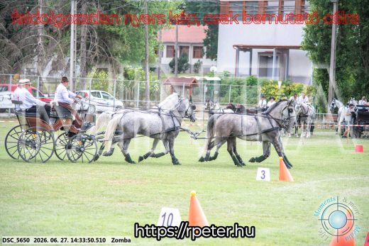 Mintakép 20260627-442