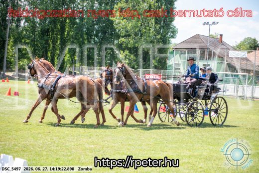Mintakép 20260627-445