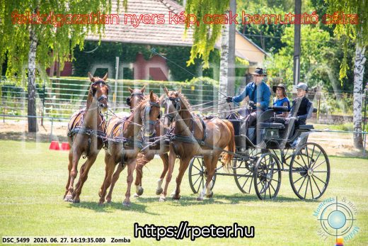 Mintakép 20260627-449
