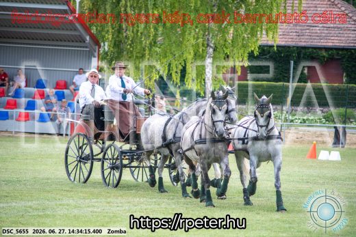 Mintakép 20260627-450