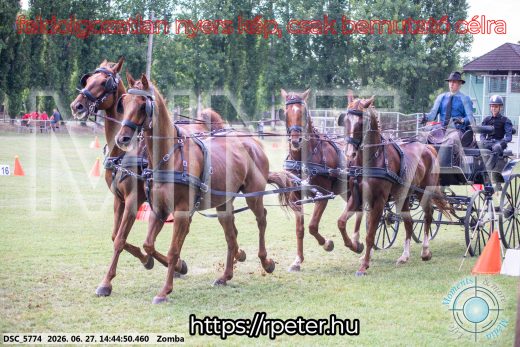 Mintakép 20260627-467
