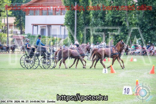 Mintakép 20260627-469