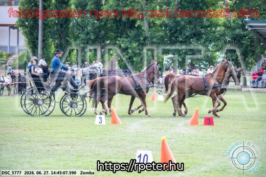 Mintakép 20260627-470