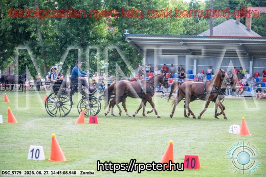 Mintakép 20260627-474