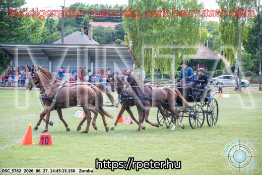 Mintakép 20260627-479