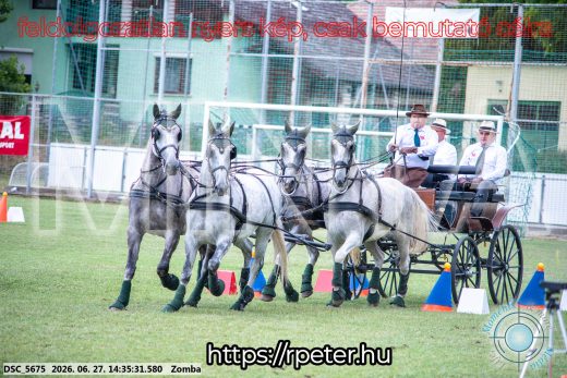Mintakép 20260627-484