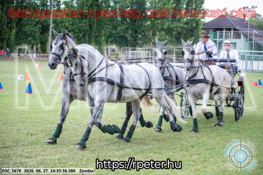 Mintakép 20260627-489