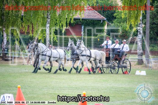 Mintakép 20260627-493