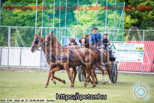 Mintakép 20260627-503