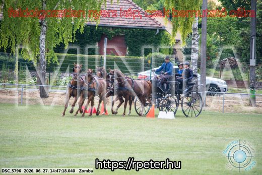 Mintakép 20260627-507