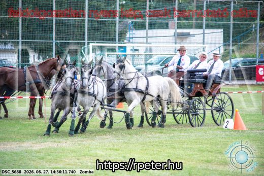 Mintakép 20260627-508