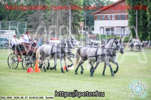 Mintakép 20260627-515