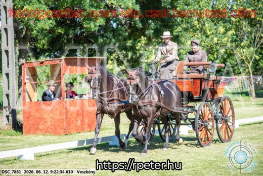 Mintakép 20260612-244