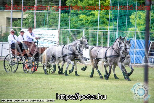 Mintakép 20260627-527