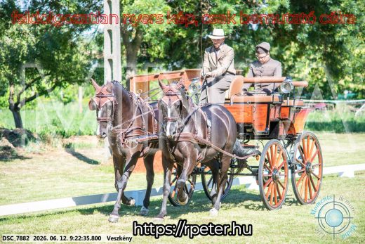 Mintakép 20260612-245
