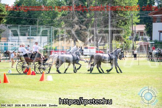Mintakép 20260627-540