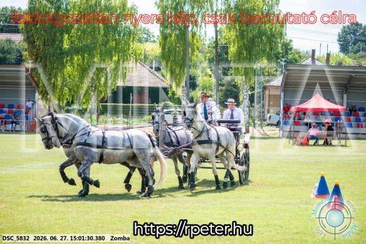 Mintakép 20260627-543