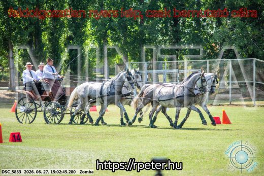 Mintakép 20260627-544