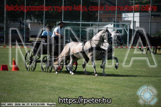 Mintakép 20260627-580