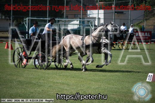 Mintakép 20260627-581