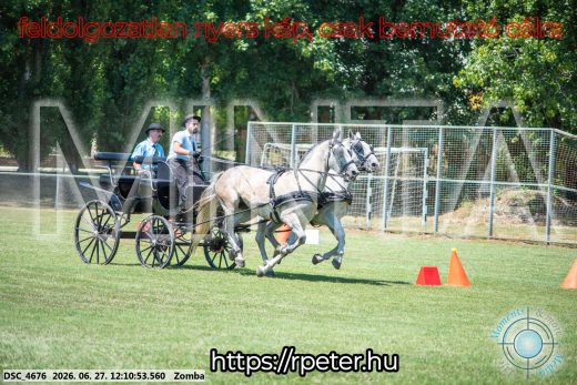 Mintakép 20260627-595