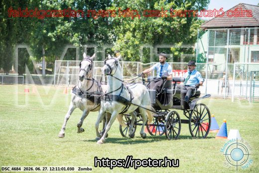 Mintakép 20260627-598