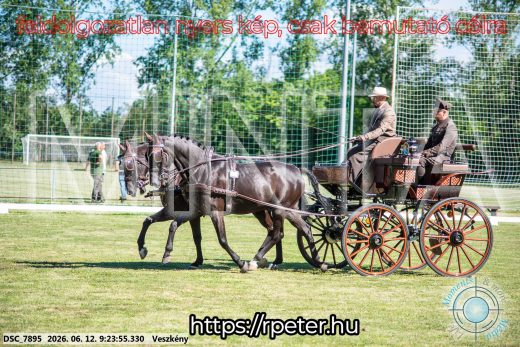 Mintakép 20260612-252