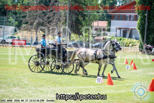 Mintakép 20260627-601