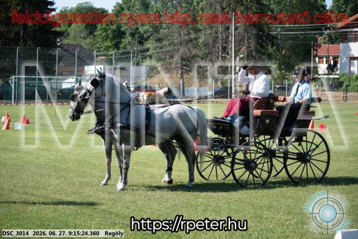 Mintakép 20260627-625